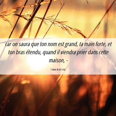 Picture 06 - 1 Rois 8:42 LSG - car on saura que ton nom est grand, ta main - Bible Verse Picture