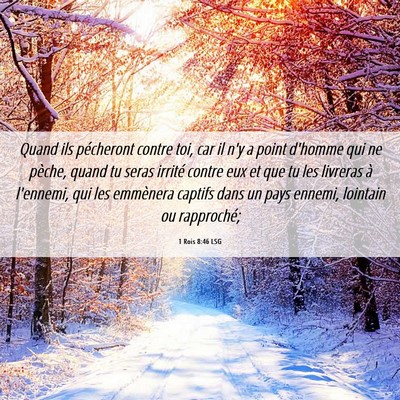 Picture 06 - 1 Rois 8:46 LSG - Quand ils pécheront contre toi, car il n'y a - Bible Verse Picture