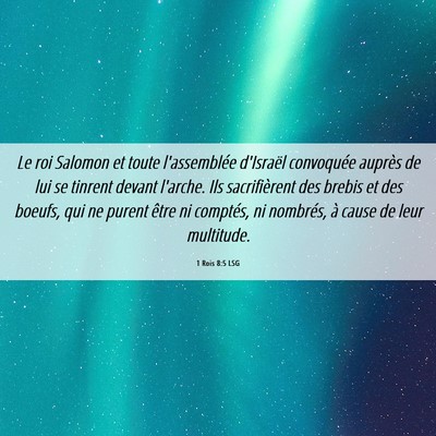 Picture 06 - 1 Rois 8:5 LSG - Le roi Salomon et toute l'assemblée d'Israël - Bible Verse Picture