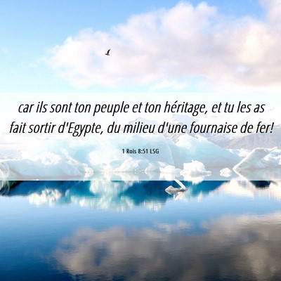 Picture 06 - 1 Rois 8:51 LSG - car ils sont ton peuple et ton héritage, et tu - Bible Verse Picture