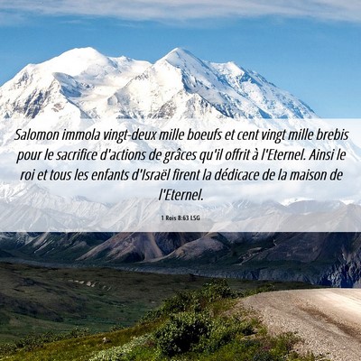 Picture 06 - 1 Rois 8:63 LSG - Salomon immola vingt-deux mille boeufs et cent - Bible Verse Picture