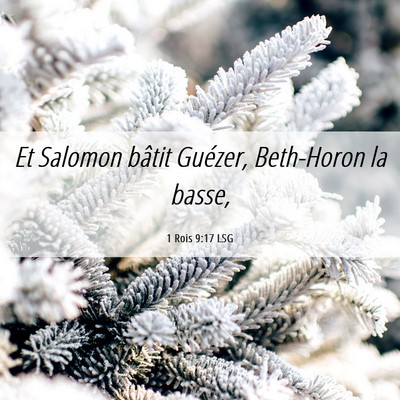 Picture 06 - 1 Rois 9:17 LSG - Et Salomon bâtit Guézer, Beth-Horon la - Bible Verse Picture