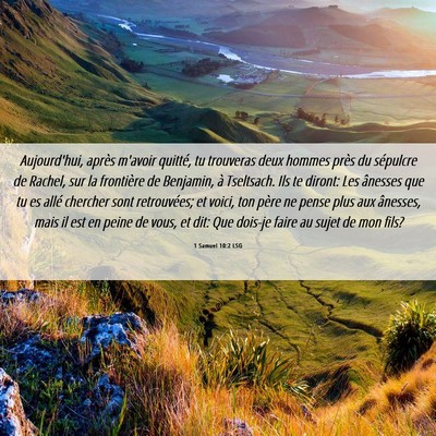 Picture 06 - 1 Samuel 10:2 LSG - Aujourd'hui, après m'avoir quitté, tu trouveras - Bible Verse Picture