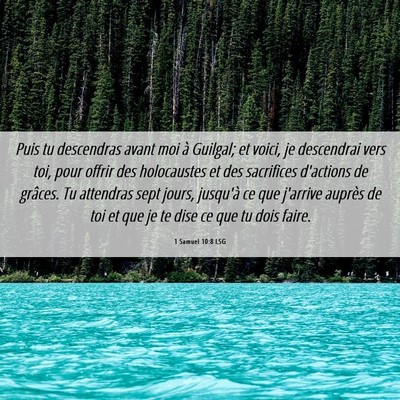 Picture 06 - 1 Samuel 10:8 LSG - Puis tu descendras avant moi à Guilgal; et - Bible Verse Picture