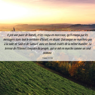 Picture 06 - 1 Samuel 11:7 LSG - Il prit une paire de boeufs, et les coupa en - Bible Verse Picture