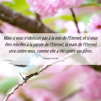 Picture 06 - 1 Samuel 12:15 LSG - Mais si vous n'obéissez pas à la voix de - Bible Verse Picture