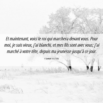Picture 06 - 1 Samuel 12:2 LSG - Et maintenant, voici le roi qui marchera devant - Bible Verse Picture
