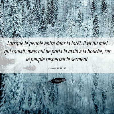 Picture 06 - 1 Samuel 14:26 LSG - Lorsque le peuple entra dans la forêt, il vit du - Bible Verse Picture