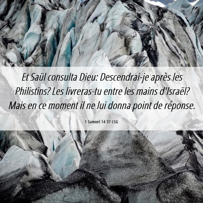 Picture 06 - 1 Samuel 14:37 LSG - Et Saül consulta Dieu: Descendrai-je après les - Bible Verse Picture