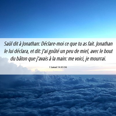 Picture 06 - 1 Samuel 14:43 LSG - Saül dit à Jonathan: Déclare-moi ce que tu as - Bible Verse Picture