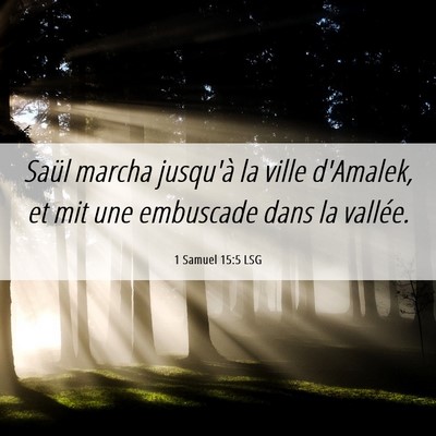 Picture 06 - 1 Samuel 15:5 LSG - Saül marcha jusqu'à la ville d'Amalek, et mit - Bible Verse Picture
