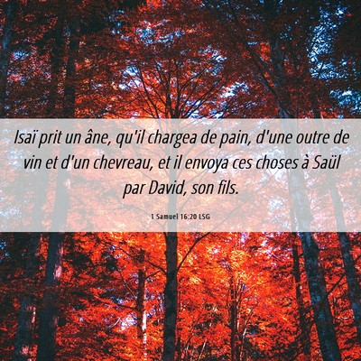 Picture 06 - 1 Samuel 16:20 LSG - Isaï prit un âne, qu'il chargea de pain, d'une - Bible Verse Picture