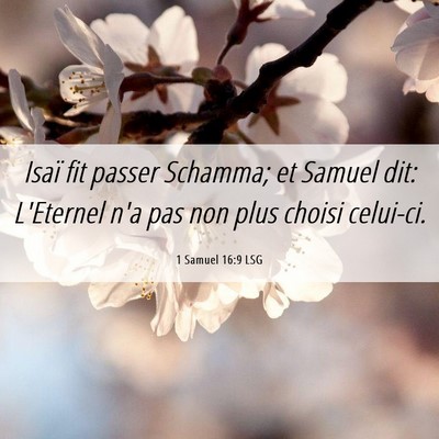 Picture 06 - 1 Samuel 16:9 LSG - Isaï fit passer Schamma; et Samuel dit: - Bible Verse Picture