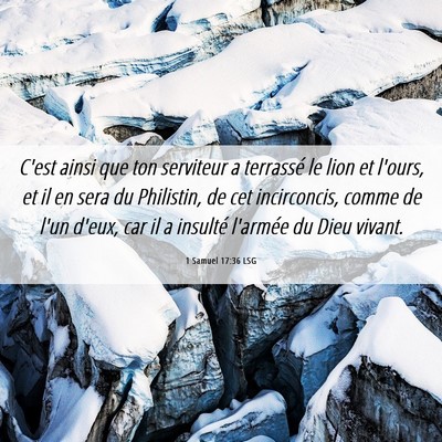 Picture 06 - 1 Samuel 17:36 LSG - C'est ainsi que ton serviteur a terrassé le lion - Bible Verse Picture