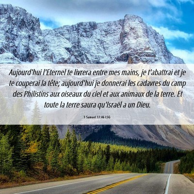 Picture 06 - 1 Samuel 17:46 LSG - Aujourd'hui l'Eternel te livrera entre mes mains, - Bible Verse Picture