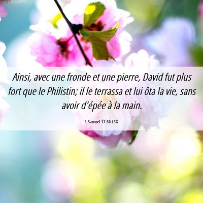 Picture 06 - 1 Samuel 17:50 LSG - Ainsi, avec une fronde et une pierre, David fut - Bible Verse Picture