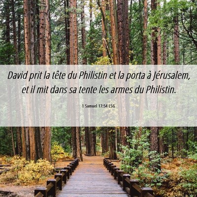 Picture 06 - 1 Samuel 17:54 LSG - David prit la tête du Philistin et la porta à - Bible Verse Picture