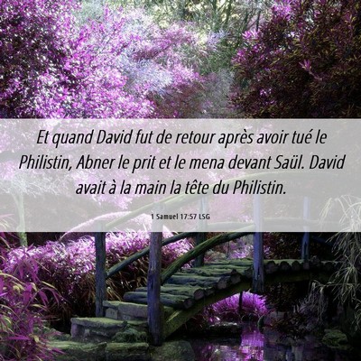 Picture 06 - 1 Samuel 17:57 LSG - Et quand David fut de retour après avoir tué le - Bible Verse Picture