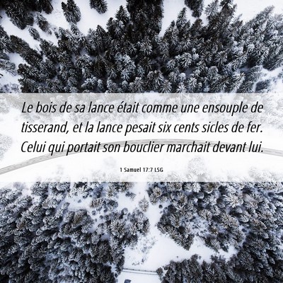 Picture 06 - 1 Samuel 17:7 LSG - Le bois de sa lance était comme une ensouple de - Bible Verse Picture