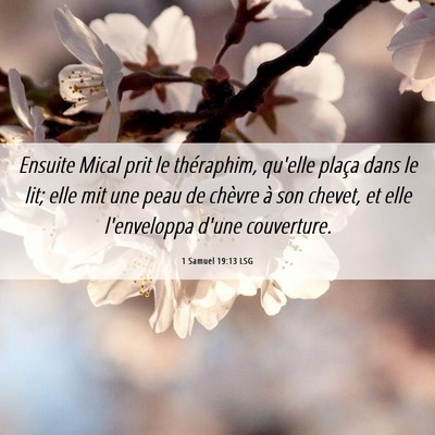 Picture 06 - 1 Samuel 19:13 LSG - Ensuite Mical prit le théraphim, qu'elle plaça - Bible Verse Picture