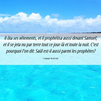 Picture 06 - 1 Samuel 19:24 LSG - Il ôta ses vêtements, et il prophétisa aussi - Bible Verse Picture