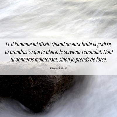 Picture 06 - 1 Samuel 2:16 LSG - Et si l'homme lui disait: Quand on aura brûlé - Bible Verse Picture