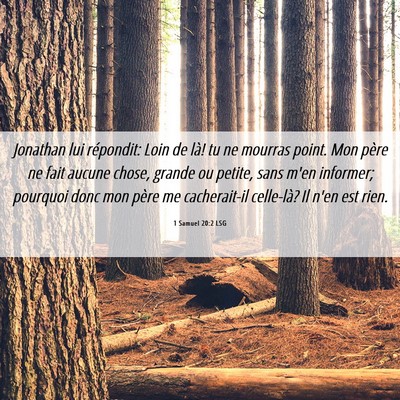Picture 06 - 1 Samuel 20:2 LSG - Jonathan lui répondit: Loin de là! tu ne - Bible Verse Picture