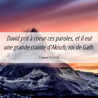 Picture 06 - 1 Samuel 21:12 LSG - David prit à coeur ces paroles, et il eut une - Bible Verse Picture