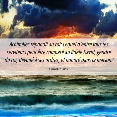 Picture 06 - 1 Samuel 22:14 LSG - Achimélec répondit au roi: Lequel d'entre tous - Bible Verse Picture