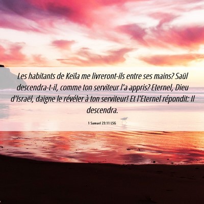 Picture 06 - 1 Samuel 23:11 LSG - Les habitants de Keïla me livreront-ils entre - Bible Verse Picture
