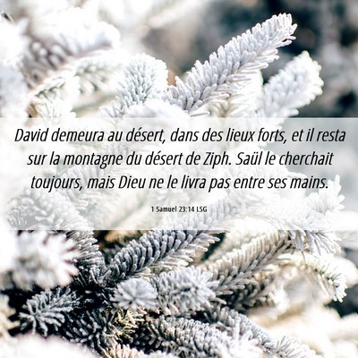 Picture 06 - 1 Samuel 23:14 LSG - David demeura au désert, dans des lieux forts, - Bible Verse Picture