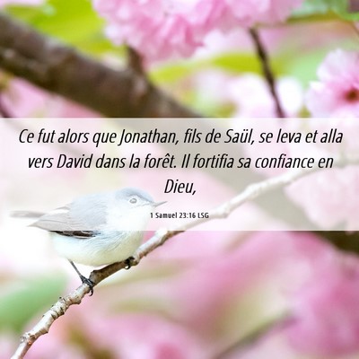 Picture 06 - 1 Samuel 23:16 LSG - Ce fut alors que Jonathan, fils de Saül, se leva - Bible Verse Picture