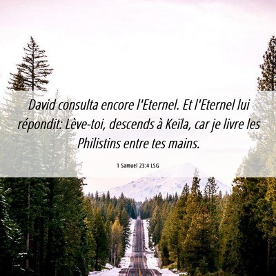 Picture 06 - 1 Samuel 23:4 LSG - David consulta encore l'Eternel. Et l'Eternel lui - Bible Verse Picture