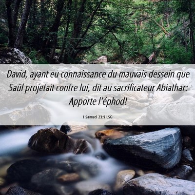 Picture 06 - 1 Samuel 23:9 LSG - David, ayant eu connaissance du mauvais dessein - Bible Verse Picture
