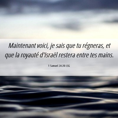Picture 06 - 1 Samuel 24:20 LSG - Maintenant voici, je sais que tu régneras, et - Bible Verse Picture