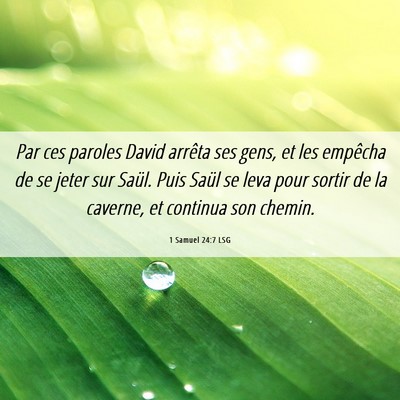 Picture 06 - 1 Samuel 24:7 LSG - Par ces paroles David arrêta ses gens, et les - Bible Verse Picture