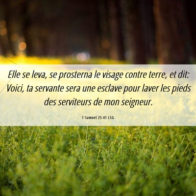 Picture 06 - 1 Samuel 25:41 LSG - Elle se leva, se prosterna le visage contre - Bible Verse Picture