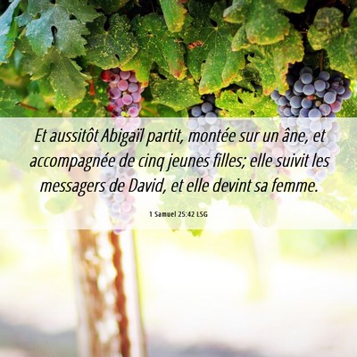 Picture 06 - 1 Samuel 25:42 LSG - Et aussitôt Abigaïl partit, montée sur un - Bible Verse Picture