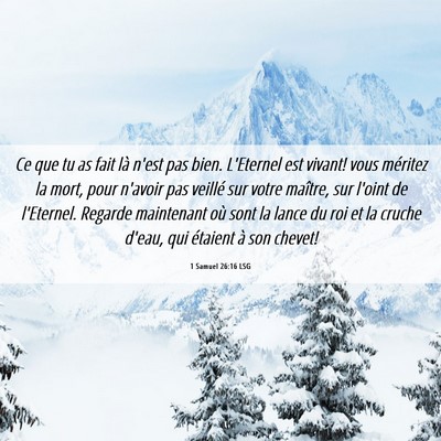 Picture 06 - 1 Samuel 26:16 LSG - Ce que tu as fait là n'est pas bien. L'Eternel - Bible Verse Picture