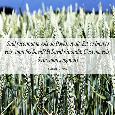 Picture 06 - 1 Samuel 26:17 LSG - Saül reconnut la voix de David, et dit: Est-ce - Bible Verse Picture