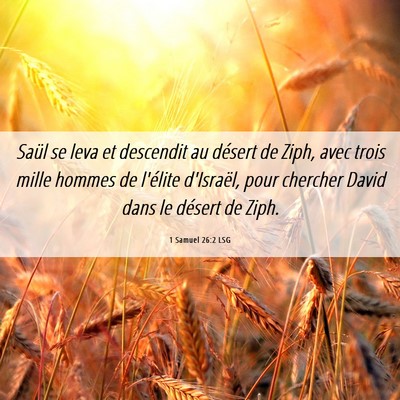 Picture 06 - 1 Samuel 26:2 LSG - Saül se leva et descendit au désert de Ziph, - Bible Verse Picture