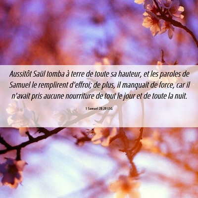 Picture 06 - 1 Samuel 28:20 LSG - Aussitôt Saül tomba à terre de toute sa - Bible Verse Picture