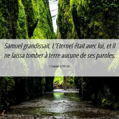 Picture 06 - 1 Samuel 3:19 LSG - Samuel grandissait. L'Eternel était avec lui, et - Bible Verse Picture