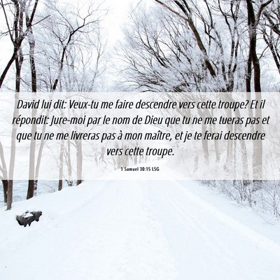 Picture 06 - 1 Samuel 30:15 LSG - David lui dit: Veux-tu me faire descendre vers - Bible Verse Picture