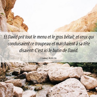 Picture 06 - 1 Samuel 30:20 LSG - Et David prit tout le menu et le gros bétail; et - Bible Verse Picture