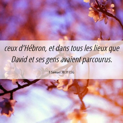 Picture 06 - 1 Samuel 30:31 LSG - ceux d'Hébron, et dans tous les lieux que David - Bible Verse Picture