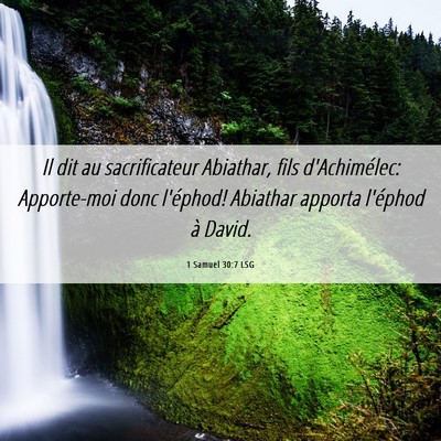 Picture 06 - 1 Samuel 30:7 LSG - Il dit au sacrificateur Abiathar, fils - Bible Verse Picture
