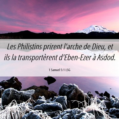 Picture 06 - 1 Samuel 5:1 LSG - Les Philistins prirent l'arche de Dieu, et ils la - Bible Verse Picture