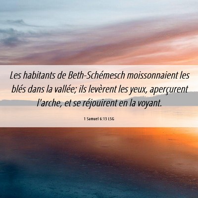 Picture 06 - 1 Samuel 6:13 LSG - Les habitants de Beth-Schémesch moissonnaient - Bible Verse Picture