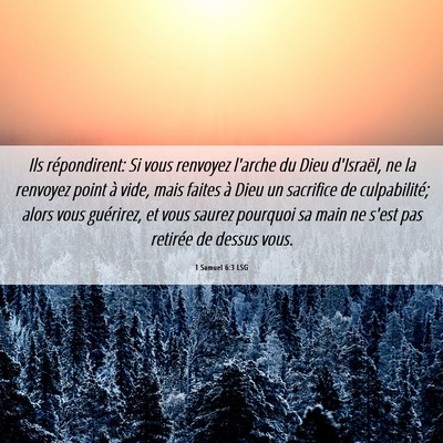Picture 06 - 1 Samuel 6:3 LSG - Ils répondirent: Si vous renvoyez l'arche du - Bible Verse Picture